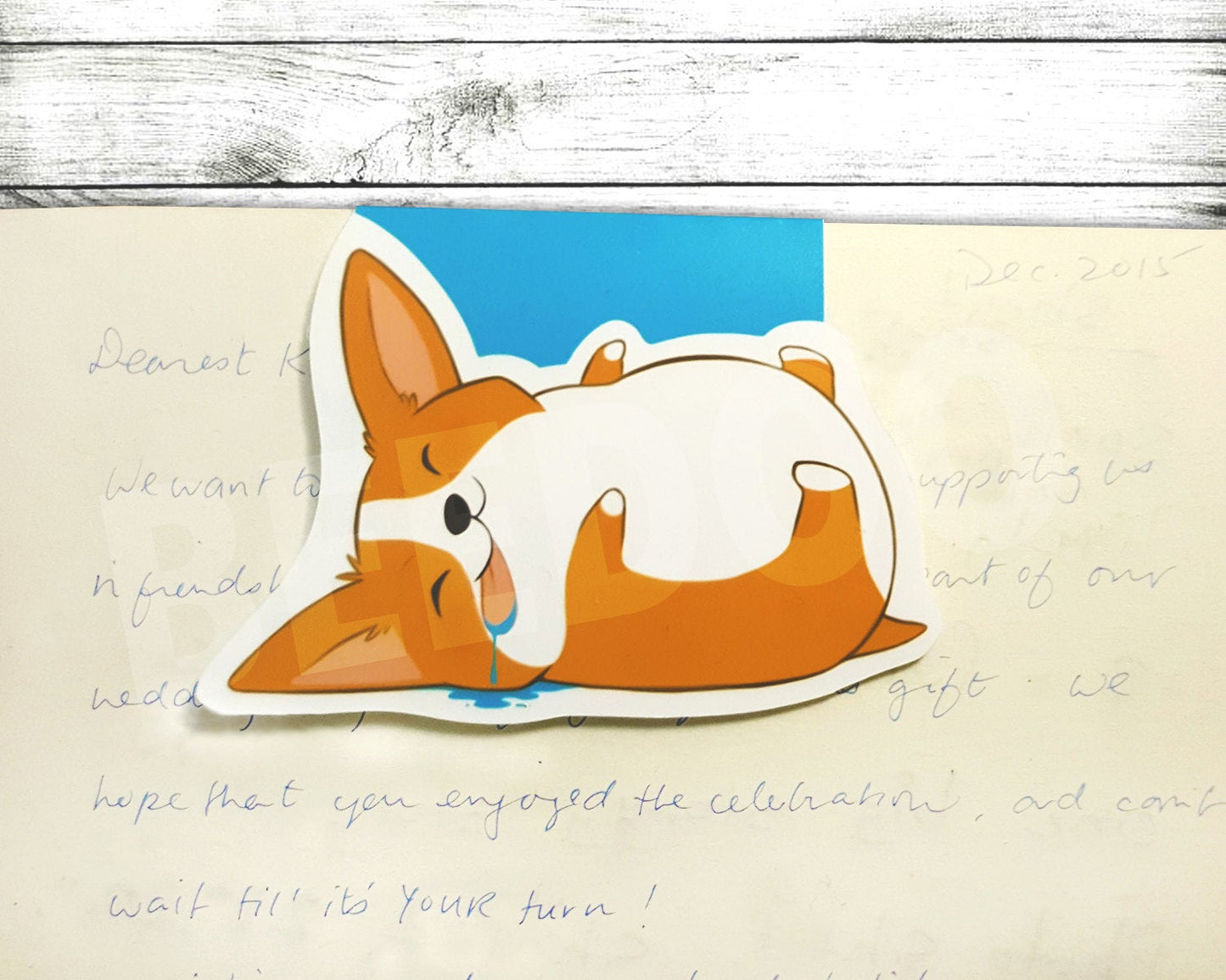 Cute Corgi set