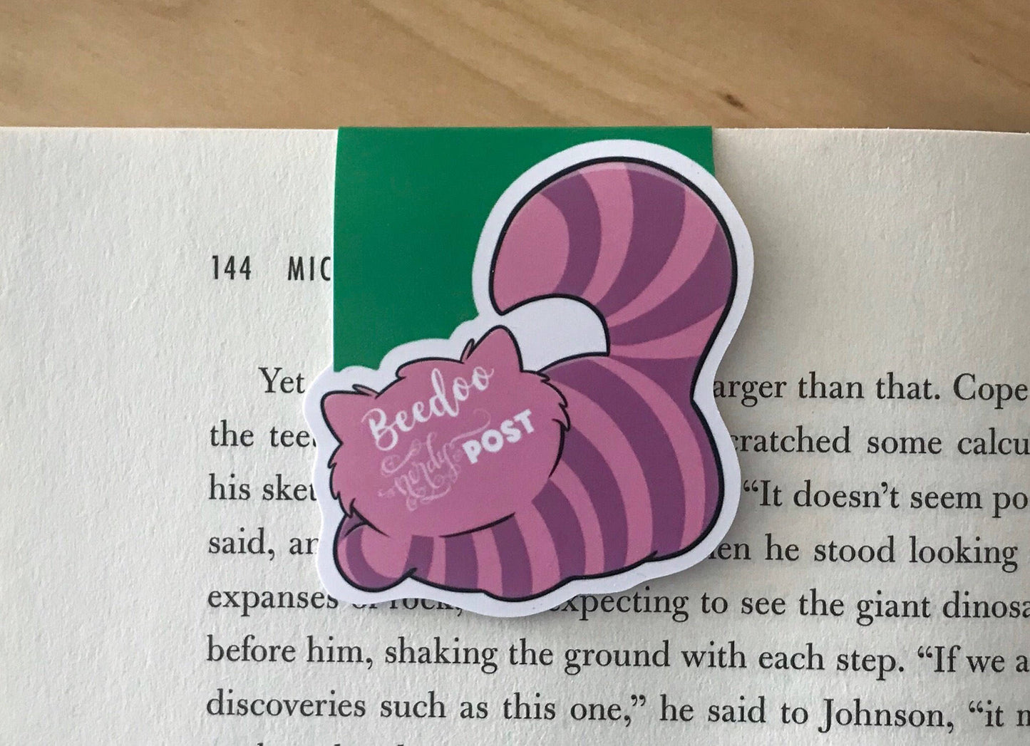 Riddle Cat Magnetic Bookmark