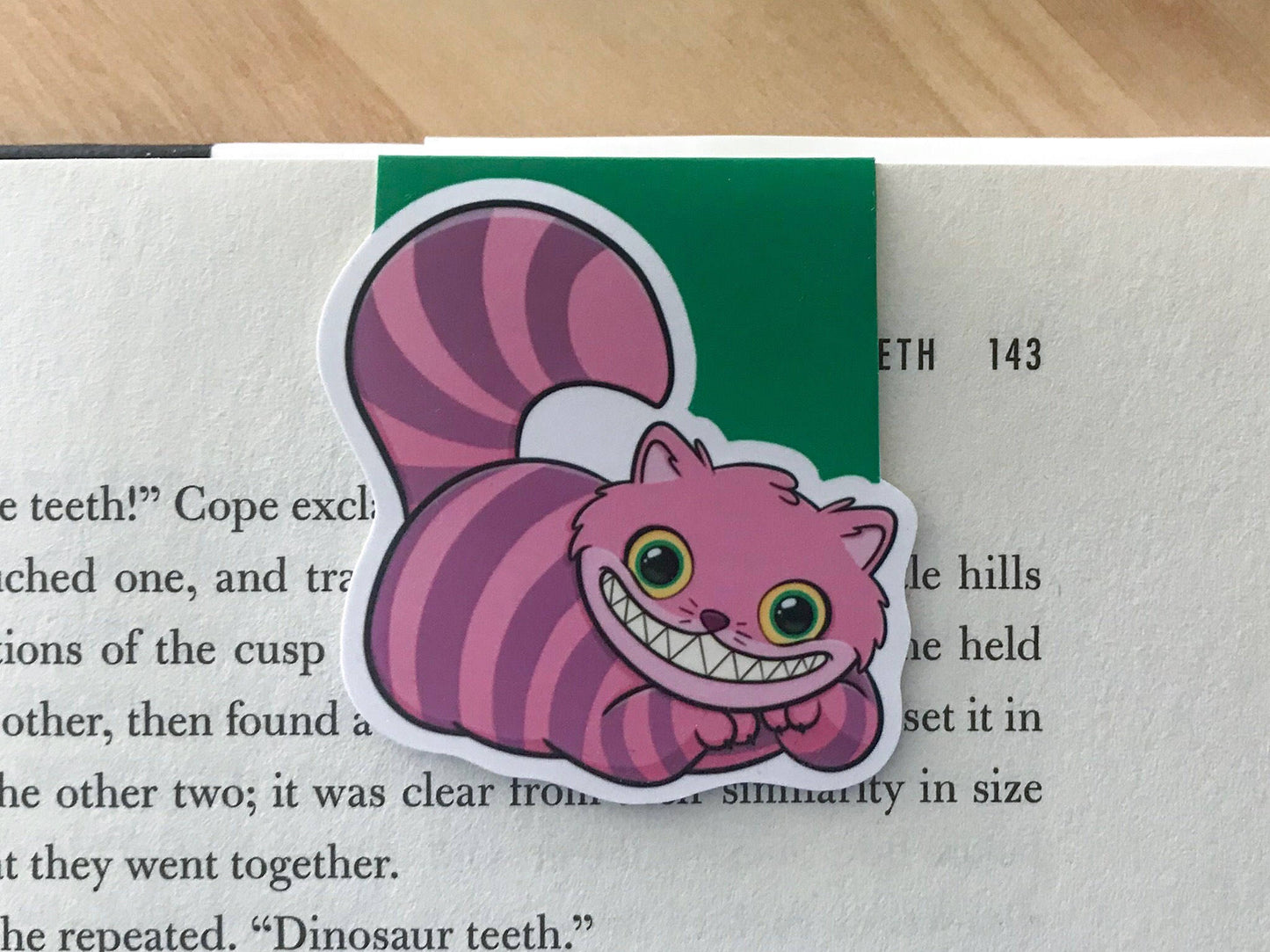 Riddle Cat Magnetic Bookmark