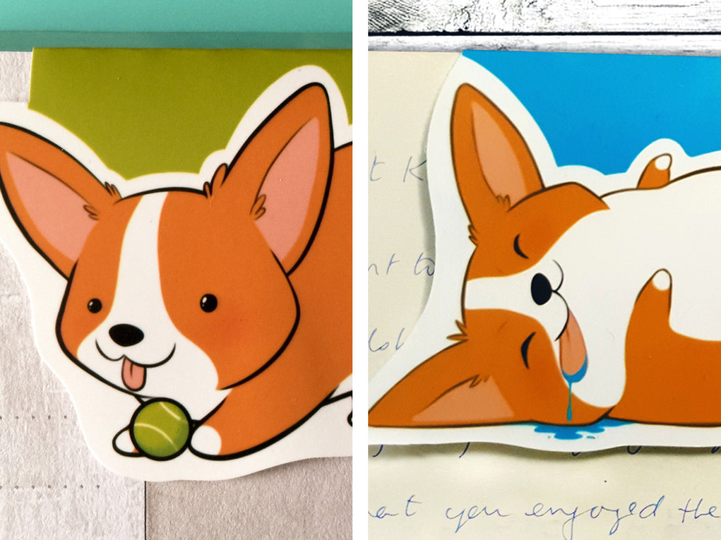 Cute Corgi set