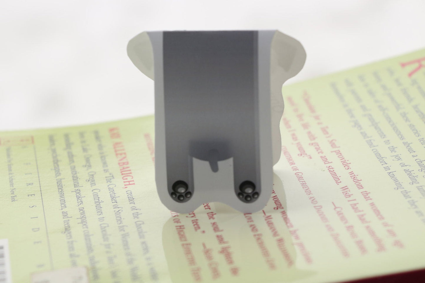 Schnauzer Magnetic Bookmark